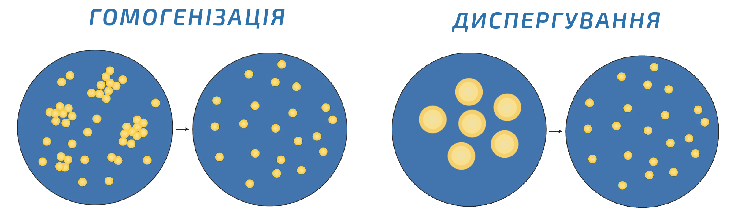Диспергування і гомогенізація